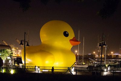 RubberDuck-DennisSimms