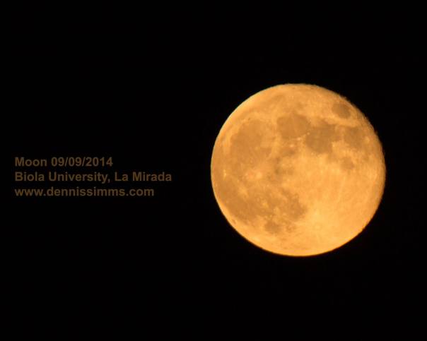 photo by Dennis Simms