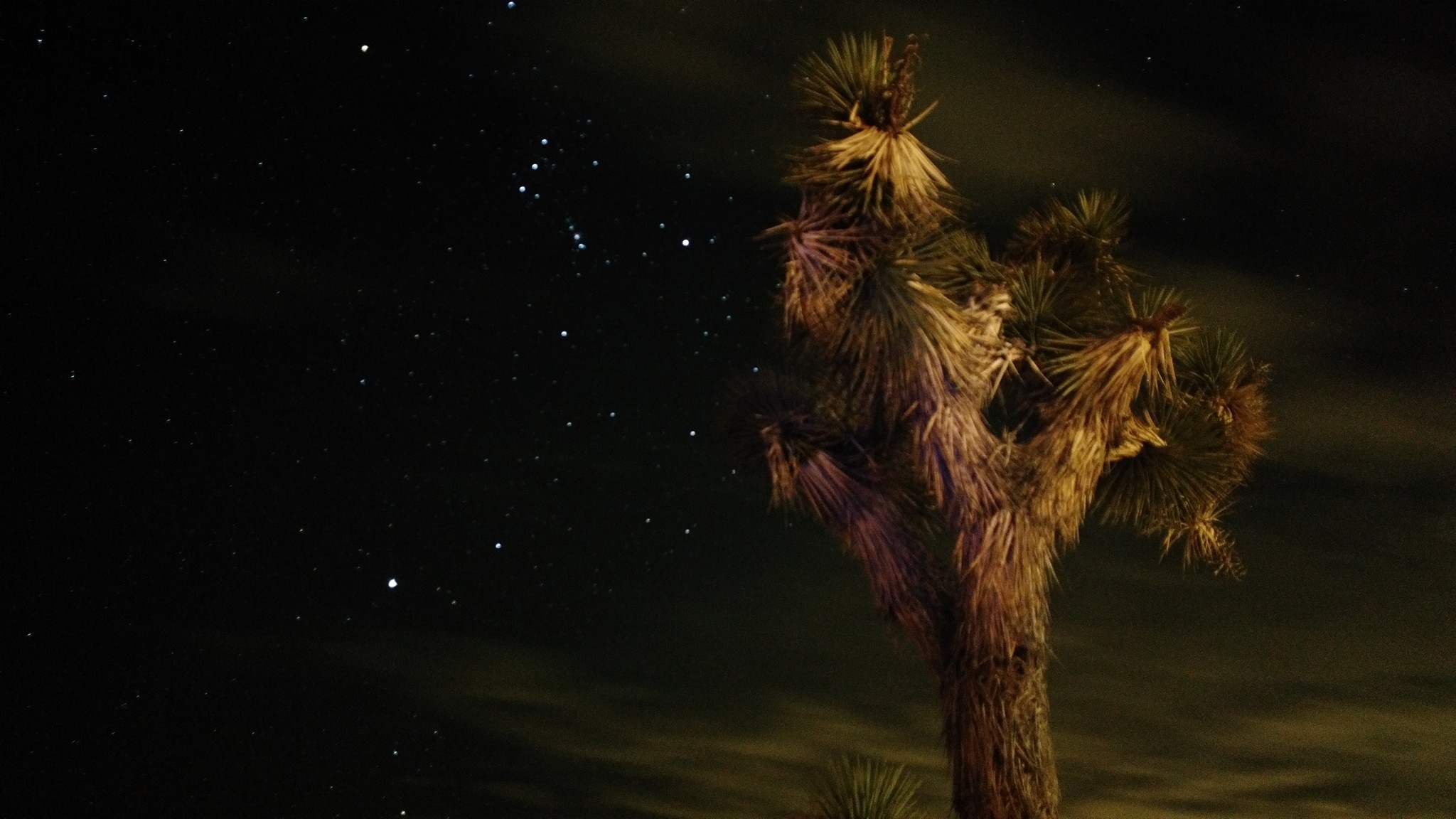 26240638_10154998425836109_314623519389381598_o